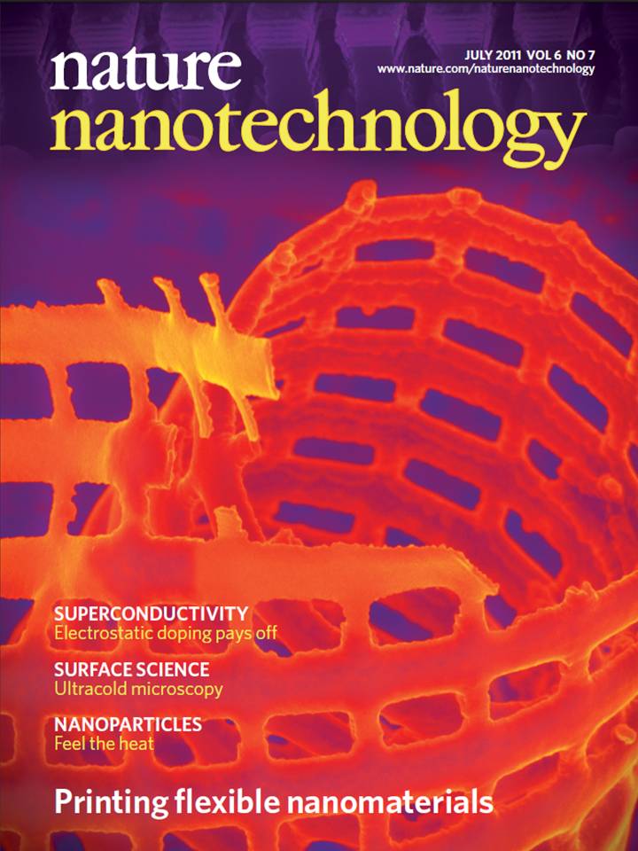 Nature Nanotechnology