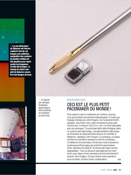 feature article